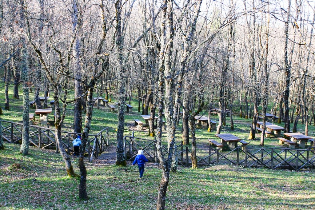 bambini che giocano in un bosco per pasquetta