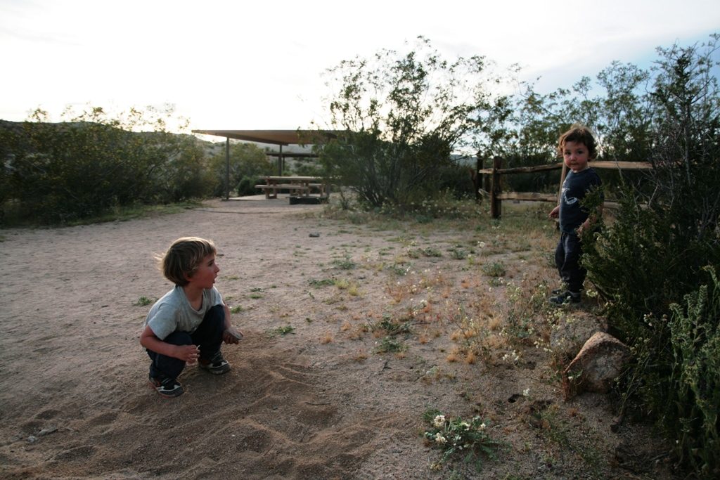 bambini che giocano al Joshua Tree National Park negli stati uniti