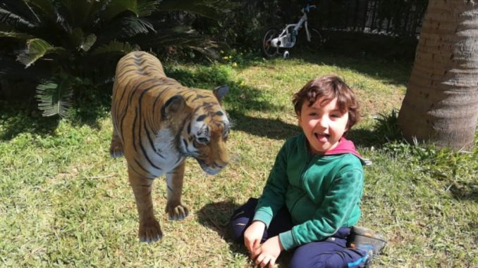 animali in 3D con google, una tigre in giardino