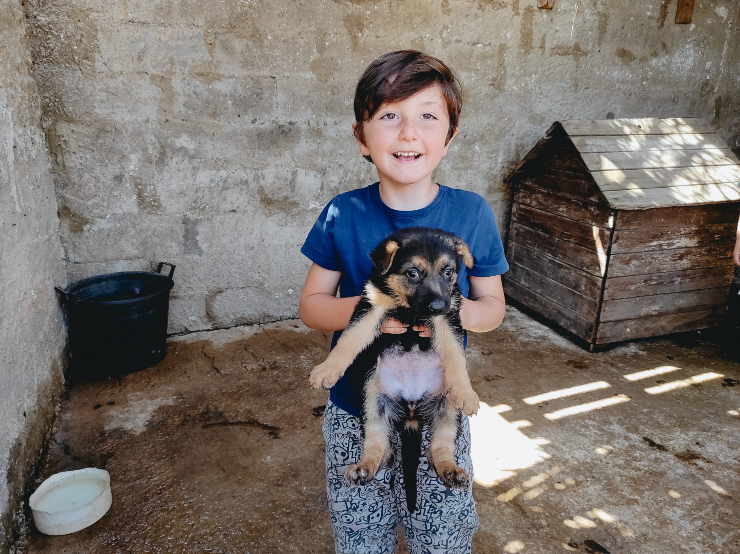 un bambino che accarezza un cucciolo in fattoria a Caltagirone